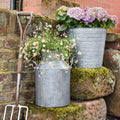 Buy Ivyline Galvanised Milk Churn online UK