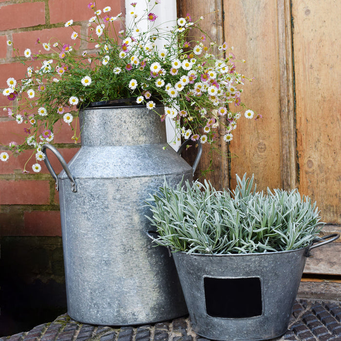 Buy Ivyline Galvanised Milk Churn online UK