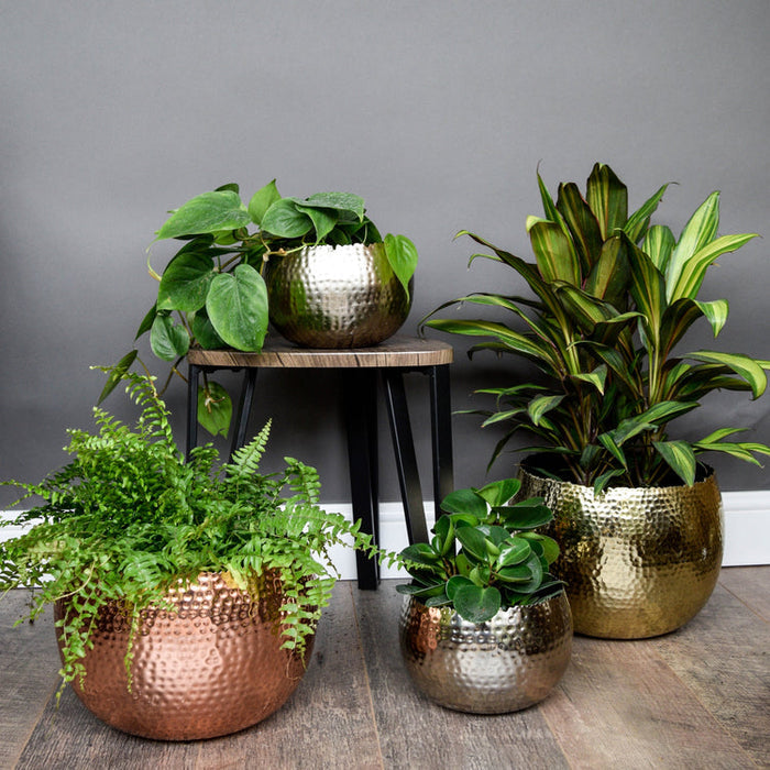 Buy Ivyline Hammered Bowl online UK