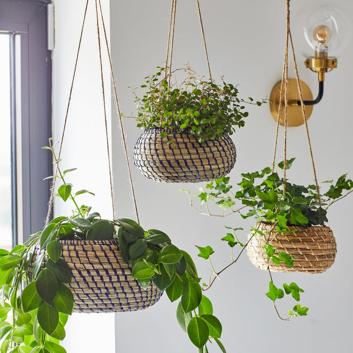 Buy Ivyline Hanging Seagrass Planters - 2 Set online UK