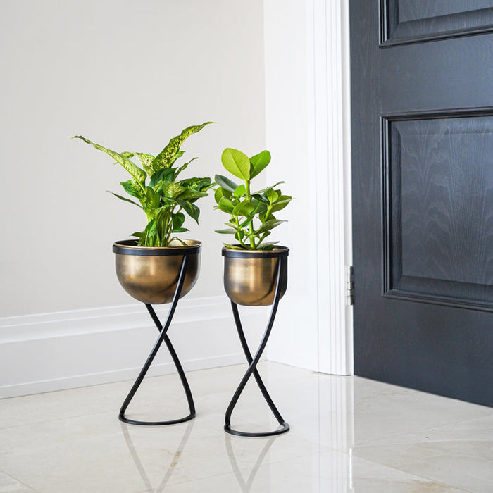 Buy Ivyline Indoor Kensington Brass Round Planter on Stand online UK