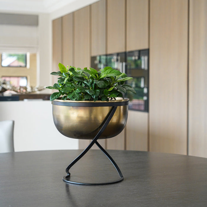 Buy Ivyline Indoor Kensington Brass Round Planter on Stand online UK