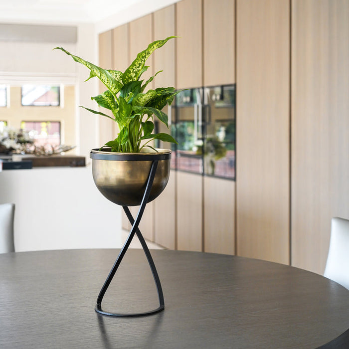 Buy Ivyline Indoor Kensington Brass Round Planter on Stand online UK