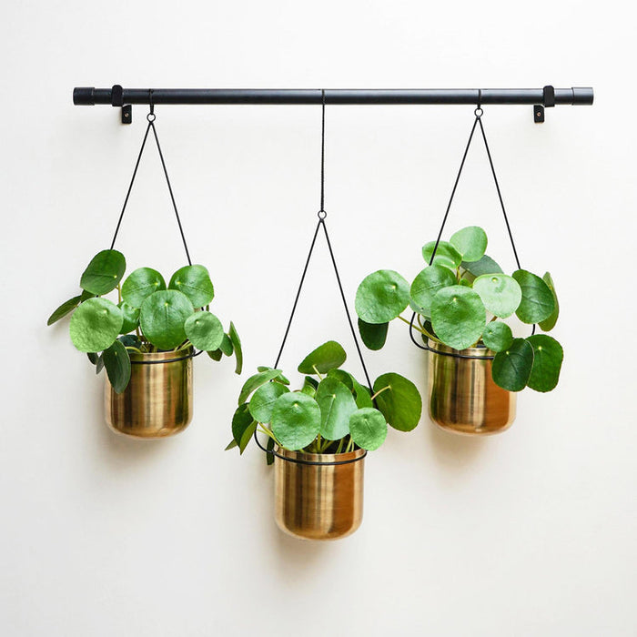 Buy Ivyline Linear Hanging Planters Black and Gold online UK
