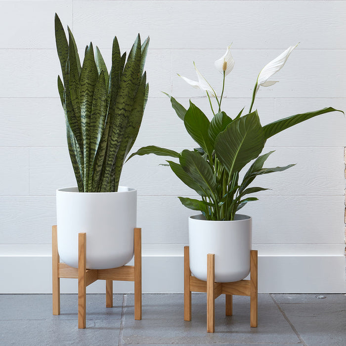 Buy Ivyline Lisbon Planter online UK