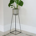 Buy Ivyline Minimo Plant Stand - Black online UK