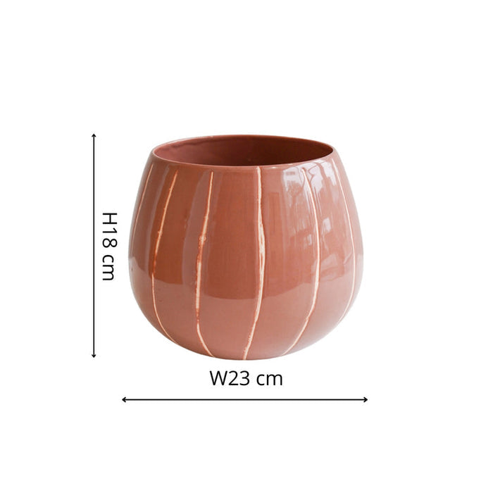 Buy Ivyline Nova Wax Relief Planter online UK