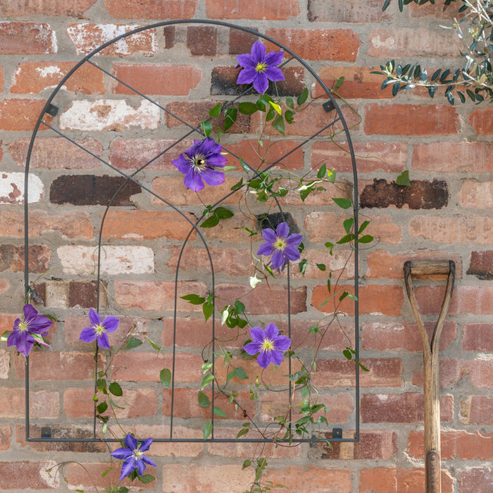 Buy Ivyline Outdoor Arch Trellis online UK