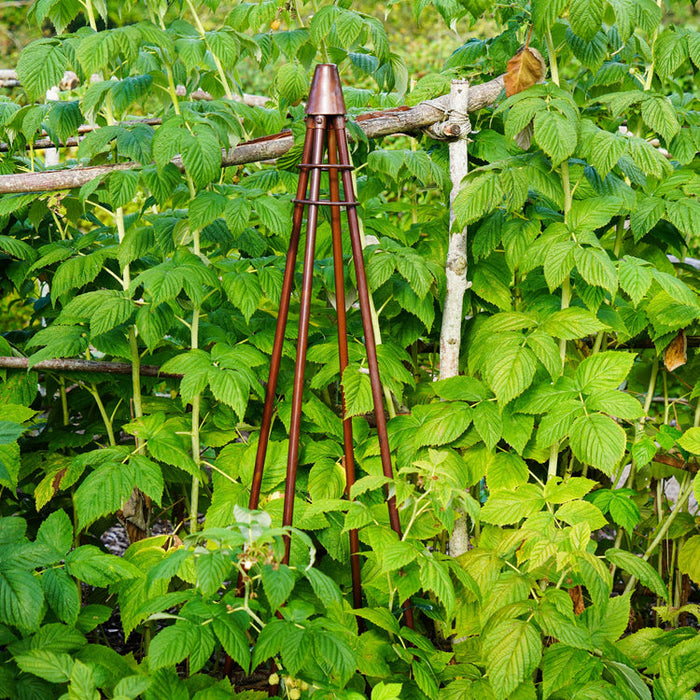 Buy Ivyline Outdoor Climber Tripod online UK