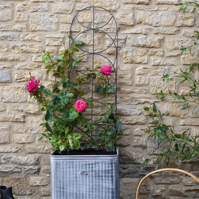 Buy Ivyline Outdoor Cylinder Trellis online UK