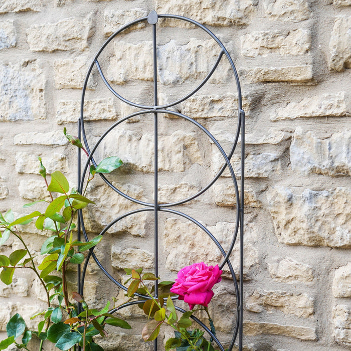 Buy Ivyline Outdoor Cylinder Trellis online UK