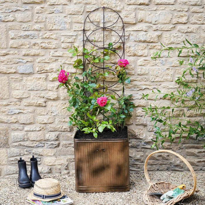 Buy Ivyline Outdoor Cylinder Trellis online UK