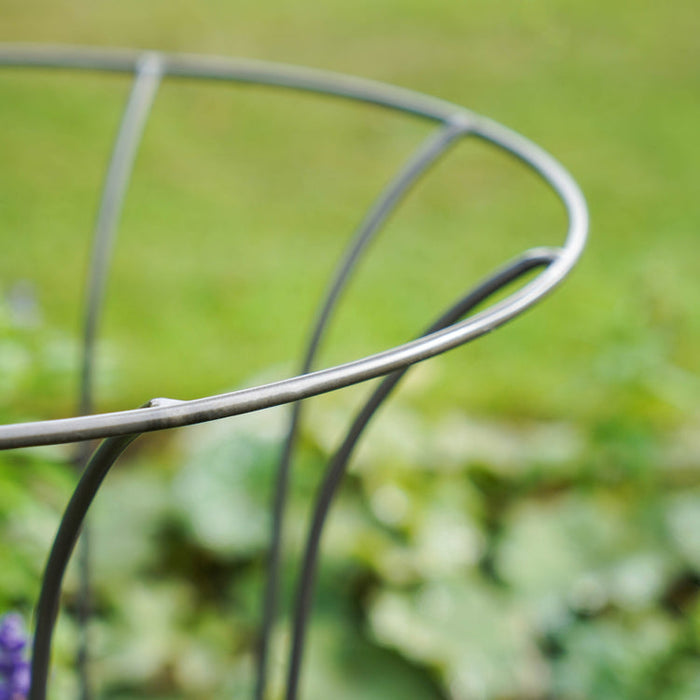 Buy Ivyline Outdoor Fluted Climber online UK