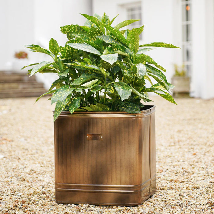 Buy Ivyline Outdoor Hampton Square Metal Planter online UK