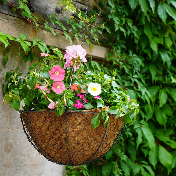 Buy Ivyline Outdoor Hanging Wired Netted Basket online UK