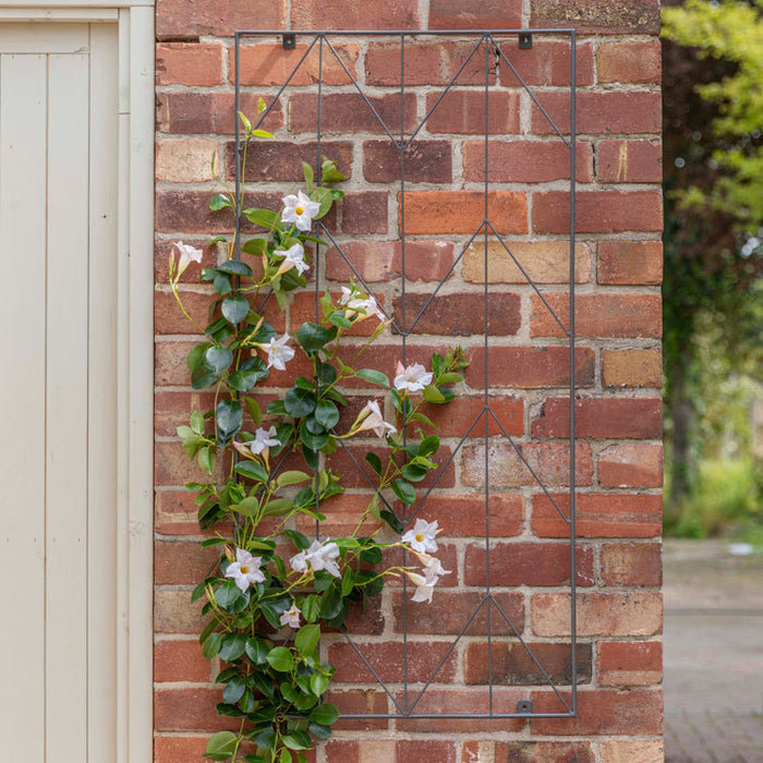 Buy Ivyline Outdoor Herringbone Trellis online UK