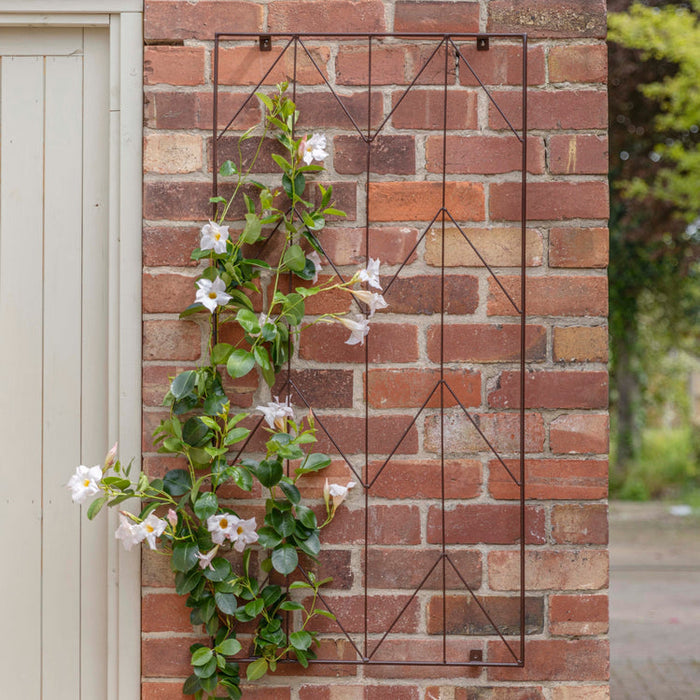 Buy Ivyline Outdoor Herringbone Trellis online UK
