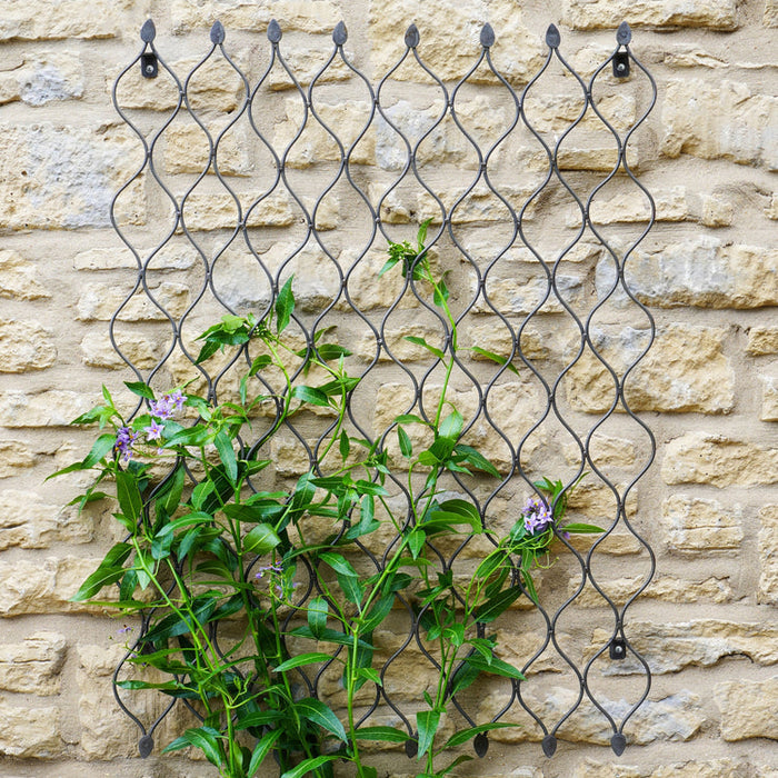 Buy Ivyline Outdoor Honeycomb Trellis online UK