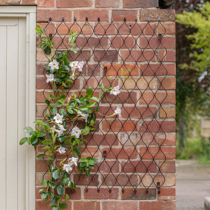 Buy Ivyline Outdoor Honeycomb Trellis online UK