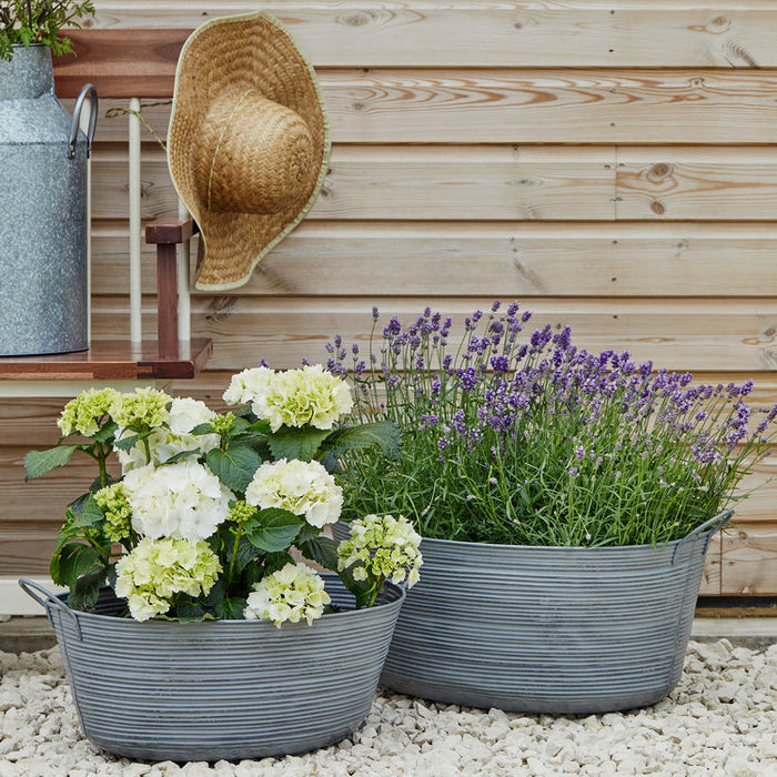 Buy Ivyline Outdoor Matlock Oval Planter online UK