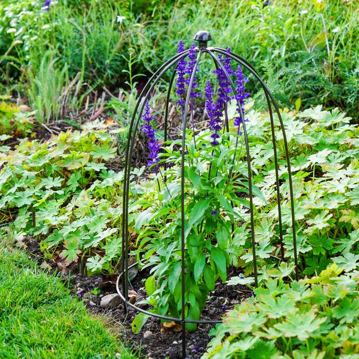 Buy Ivyline Outdoor Plant Support online UK