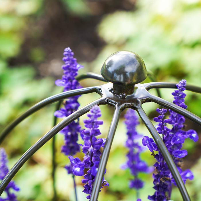 Buy Ivyline Outdoor Plant Support online UK