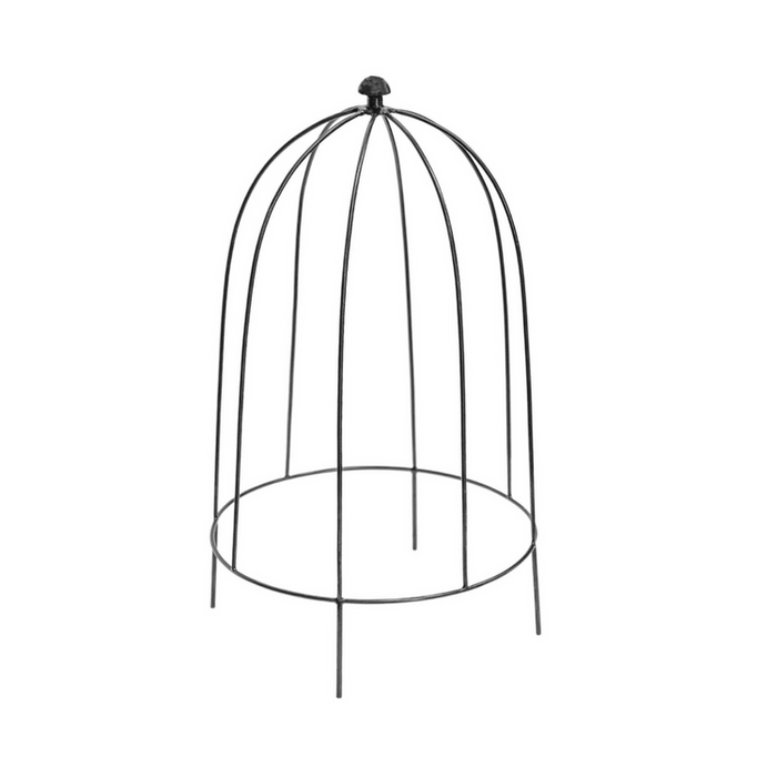 Buy Ivyline Outdoor Plant Support online UK