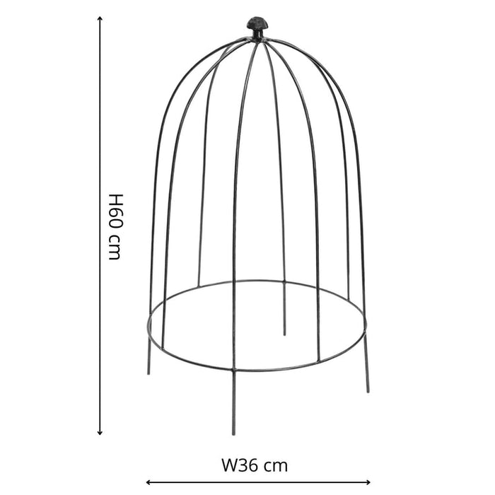 Buy Ivyline Outdoor Plant Support online UK