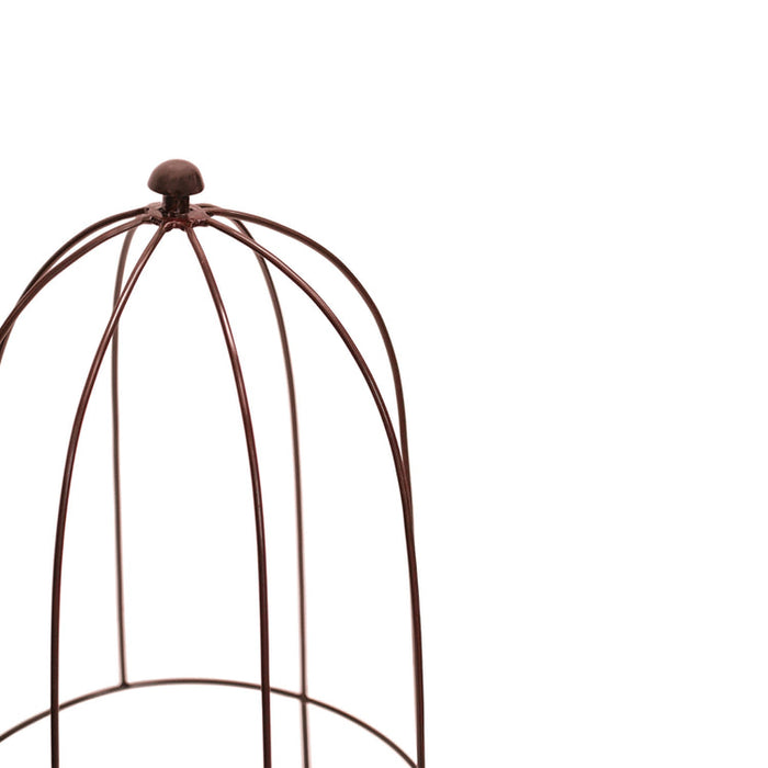 Buy Ivyline Outdoor Plant Support online UK