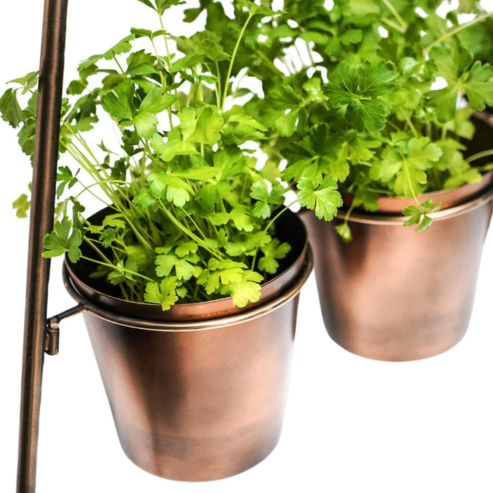 Buy Ivyline Outdoor Vertical Gold Metal Wall Plant Stand with Planters online UK