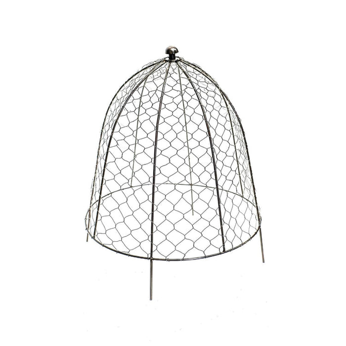 Buy Ivyline Outdoor Wire Netted Plant Protector online UK