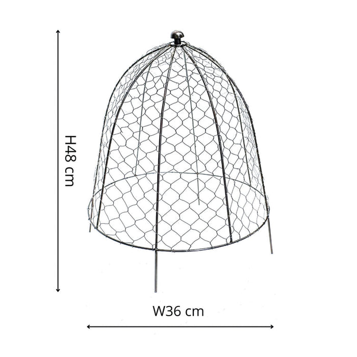 Buy Ivyline Outdoor Wire Netted Plant Protector online UK
