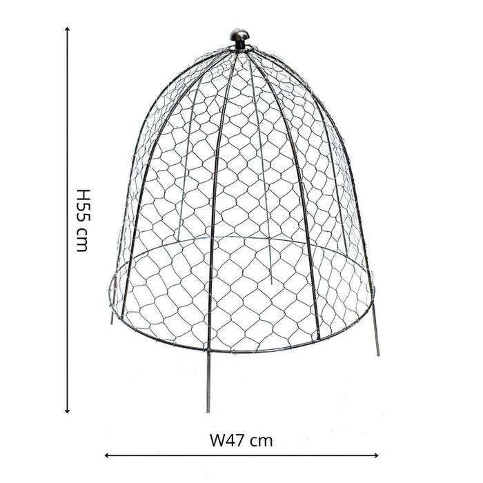 Buy Ivyline Outdoor Wire Netted Plant Protector online UK