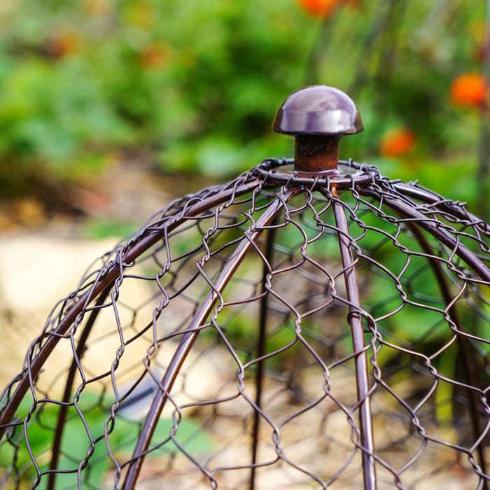 Buy Ivyline Outdoor Wire Netted Plant Protector online UK
