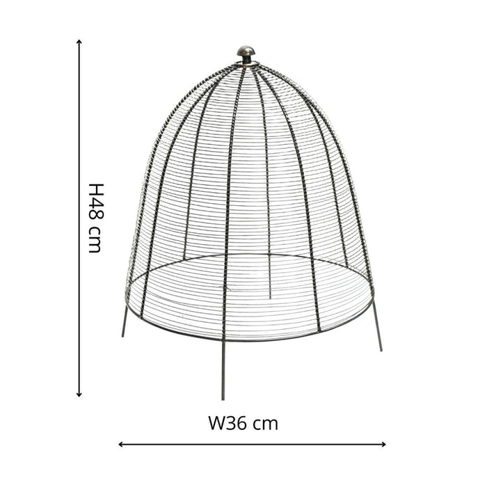 Buy Ivyline Outdoor Wired Plant Protector online UK