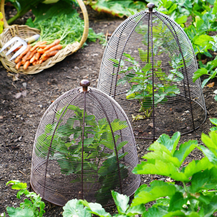 Buy Ivyline Outdoor Wired Plant Protector online UK