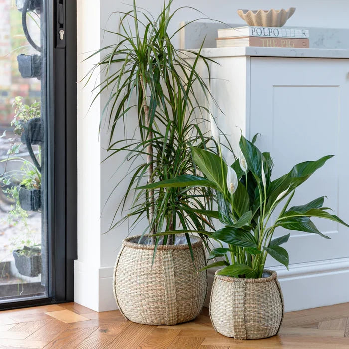 Ivyline Pando Seagrass Basket Natural Set of 2