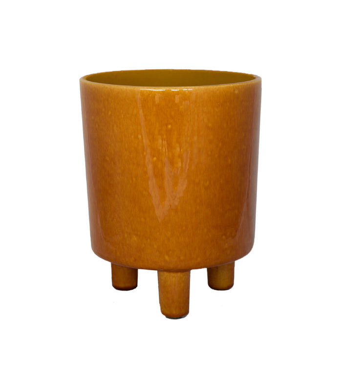 Buy Ivyline Pisa Planter online UK