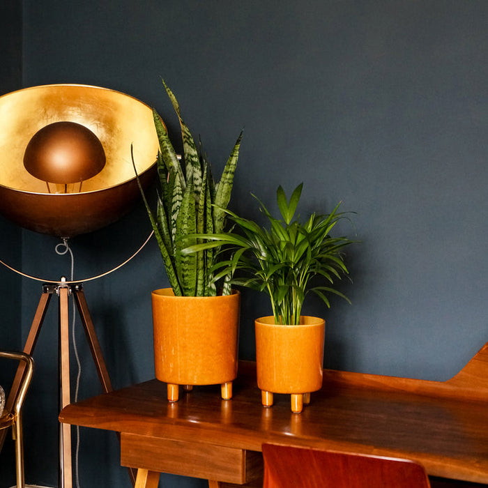 Buy Ivyline Pisa Planter online UK