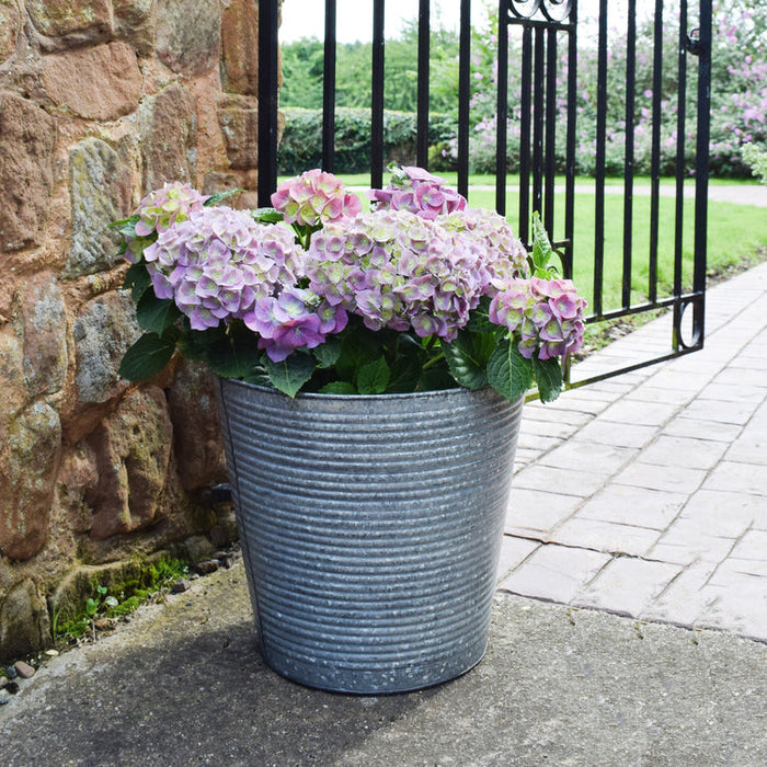 Buy Ivyline Ribbed Galvanised Planter online UK