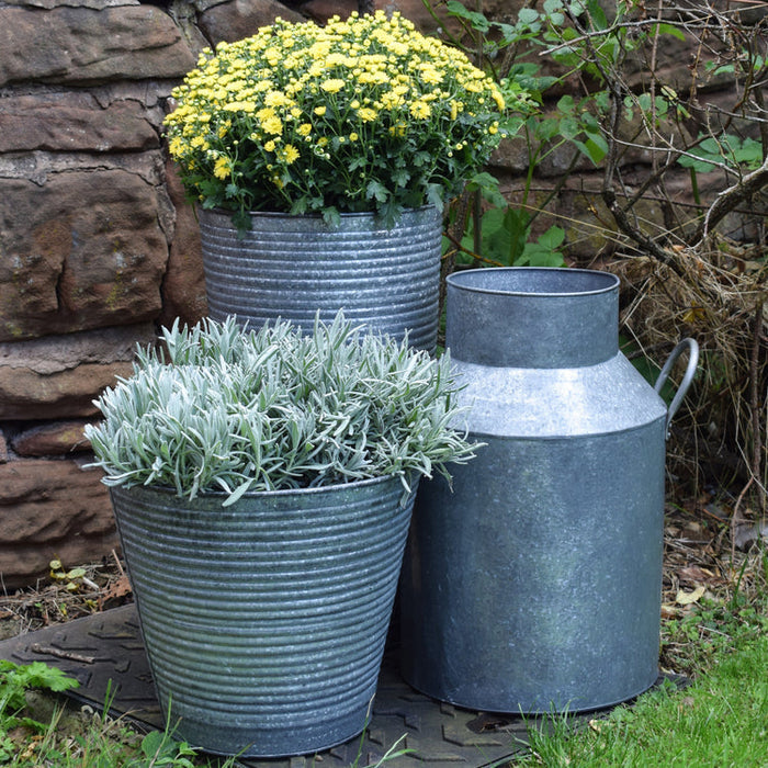 Buy Ivyline Ribbed Galvanised Vase online UK
