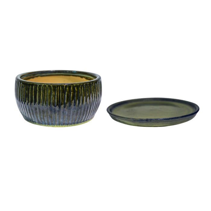 Buy Ivyline Round Bonsai Planter 2 Set online UK