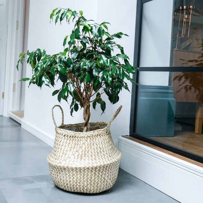 Buy Ivyline Seagrass Chevron Lined Basket online UK