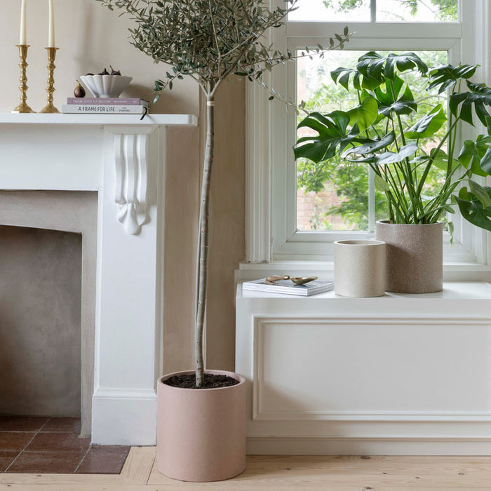 Buy Ivyline Valetta Terrazzo Planter - 3 Set online UK