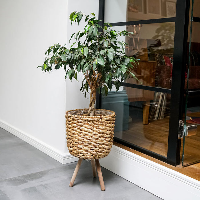 Buy Ivyline Water Hyacinth Lined basket on Legs online UK