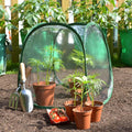 Buy MiniPol Pop-Up Mini Greenhouse Plant Cover online UK