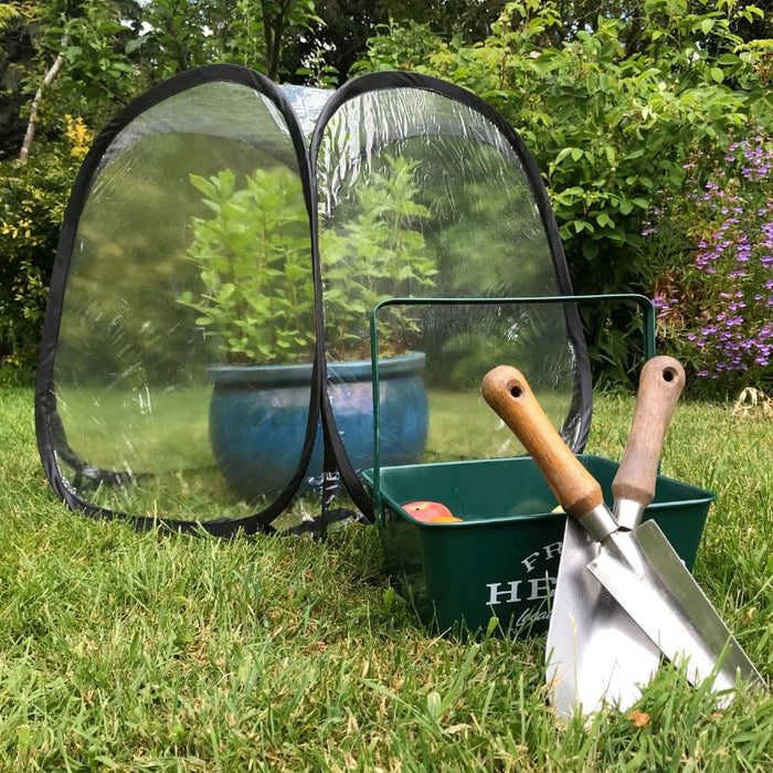 Buy MiniPol Pop-Up Mini Greenhouse Plant Cover online UK