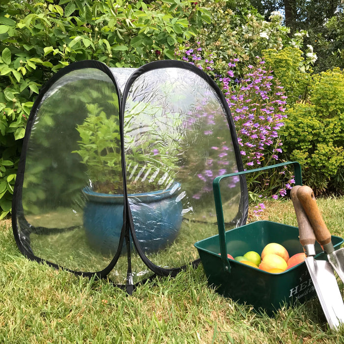 Buy MiniPol Pop-Up Mini Greenhouse Plant Cover online UK