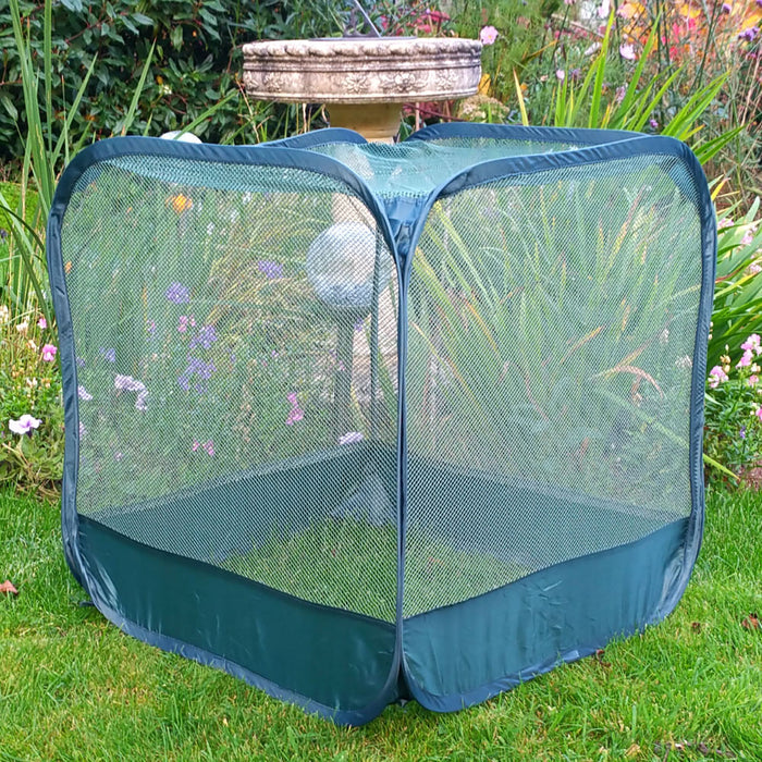 Buy MiniPop Pop-Up Mini Plant & Seedling Cover online UK