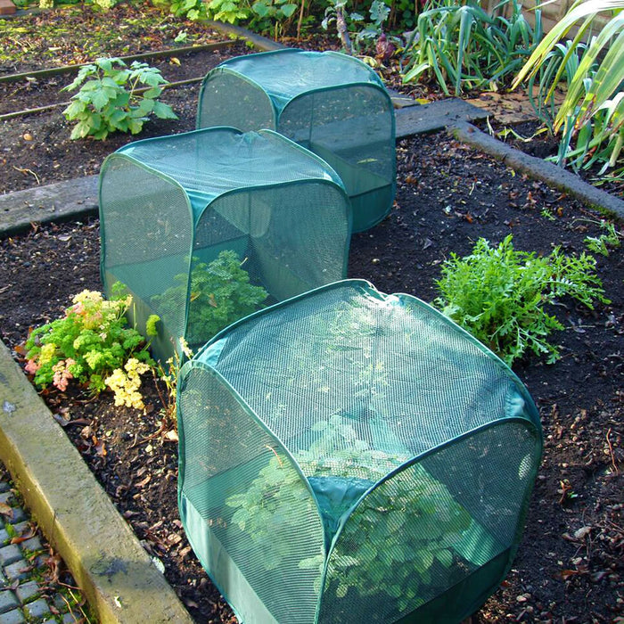 Buy MiniPop Pop-Up Mini Plant & Seedling Cover online UK